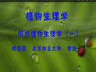 植物生理学视频教程 86讲 郑彩霞 北京林业大学